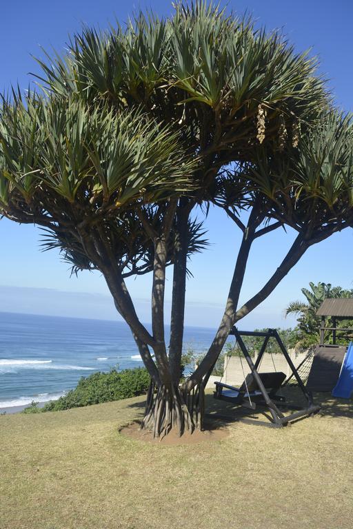 Beach Retreat Guesthouse アマンジムトティ エクステリア 写真